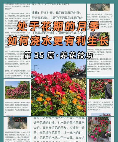 小众送妈妈的花有哪些花