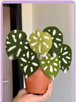 小众送妈妈的花有哪些花