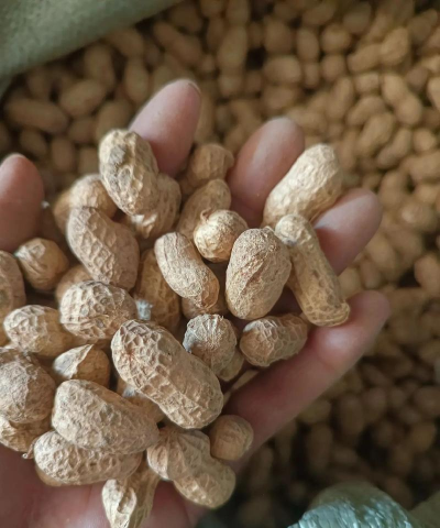 小众送妈妈的花有哪些花