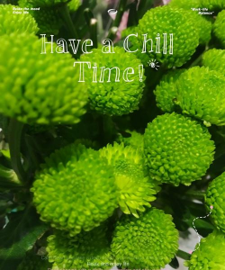 小众送妈妈的花有哪些花