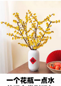 小众送妈妈的花有哪些花