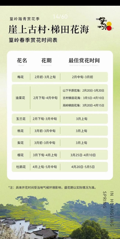 婺源油菜花几月份开花