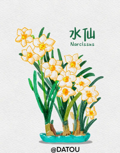 小众送妈妈的花有哪些花