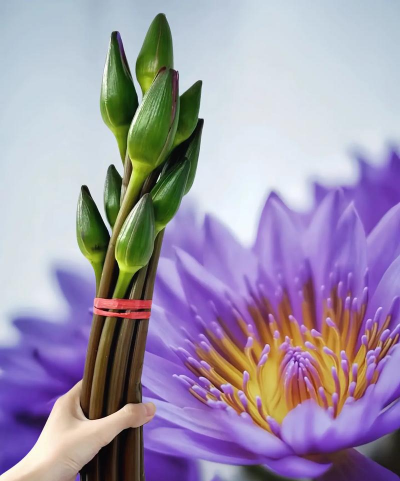 小众送妈妈的花有哪些花