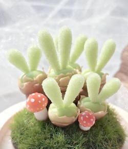 小众送妈妈的花有哪些花