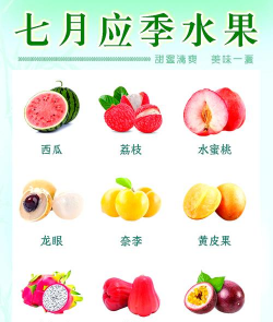 夏天有什么水果