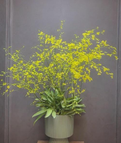 小众送妈妈的花有哪些花