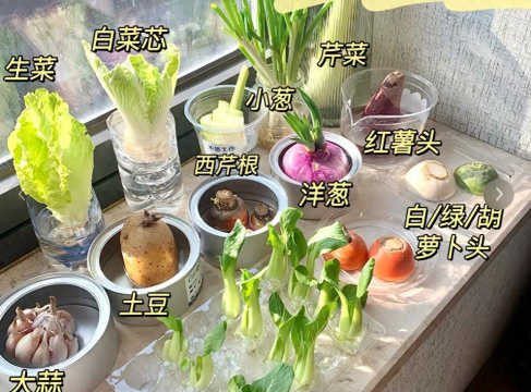 小众送妈妈的花有哪些花