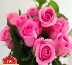 小众送妈妈的花有哪些花