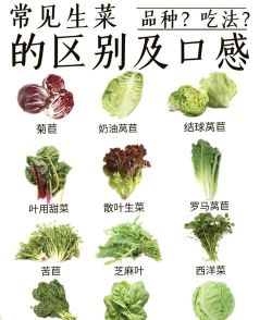 生菜是摘得还是拔