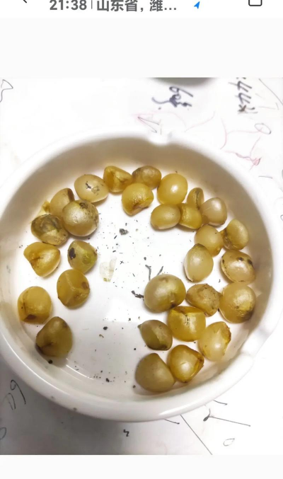 小众送妈妈的花有哪些花