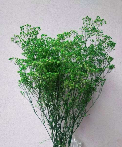 小众送妈妈的花有哪些花