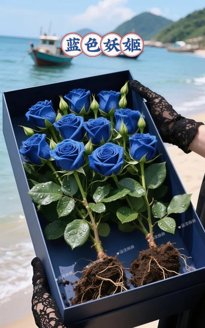 小众送妈妈的花有哪些花