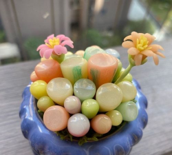 小众送妈妈的花有哪些花