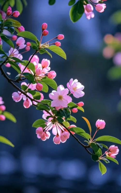 小众送妈妈的花有哪些花