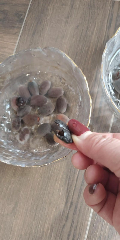 小众送妈妈的花有哪些花