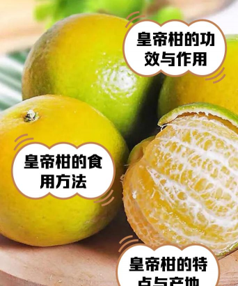 皇帝柑性寒还是性温