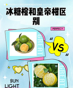帝王柑和皇帝柑的区别