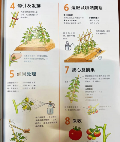 小众送妈妈的花有哪些花