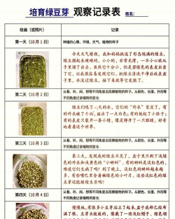 绿豆最佳种植时间