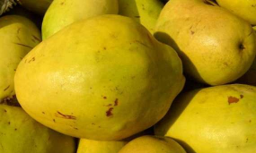 小众送妈妈的花有哪些花