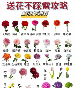 小众送妈妈的花有哪些花