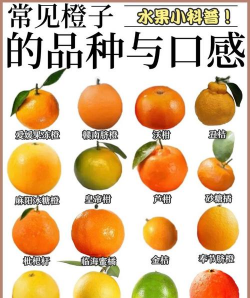 沃柑有几个品种