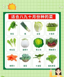 9月有什么蔬菜