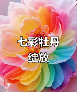 小众送妈妈的花有哪些花