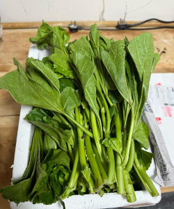 冬天成熟的蔬菜有哪些