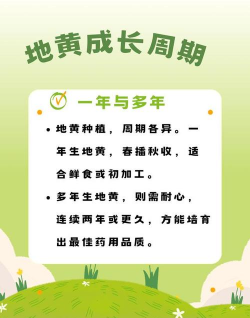 地黄什么时候种植