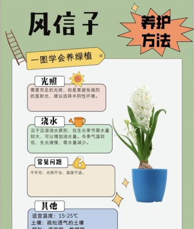 小众送妈妈的花有哪些花