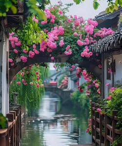 小众送妈妈的花有哪些花