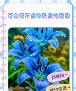 小众送妈妈的花有哪些花