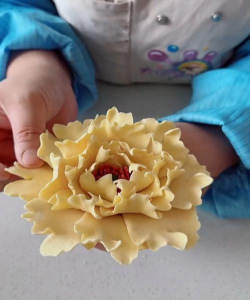 小众送妈妈的花有哪些花