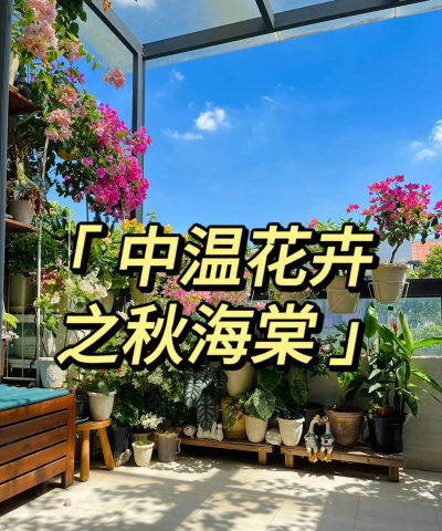 小众送妈妈的花有哪些花