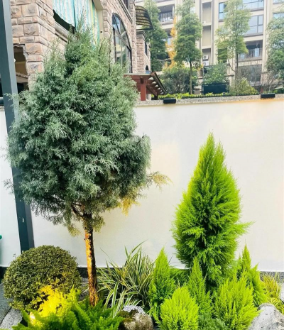 小众送妈妈的花有哪些花