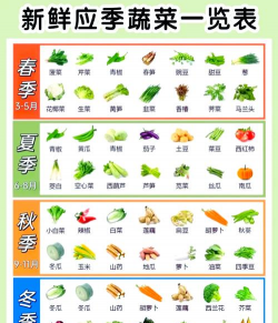 一年四季可以种的蔬菜有哪些