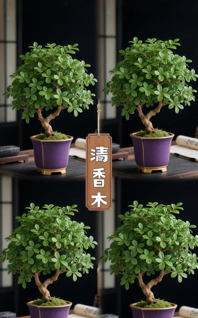 小众送妈妈的花有哪些花