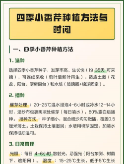 种植小香芹怎么种植