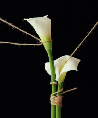 小众送妈妈的花有哪些花