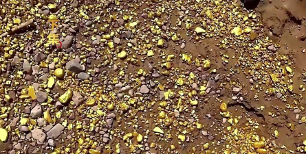 什么土质里有黄金