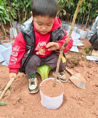 小众送妈妈的花有哪些花