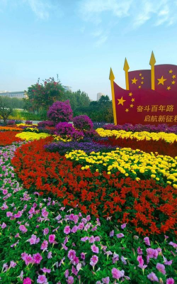 小众送妈妈的花有哪些花