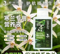 小众送妈妈的花有哪些花