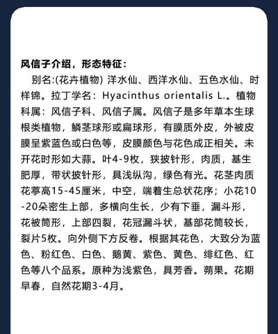 小众送妈妈的花有哪些花