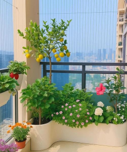 小众送妈妈的花有哪些花