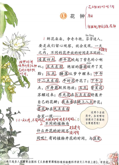 小众送妈妈的花有哪些花