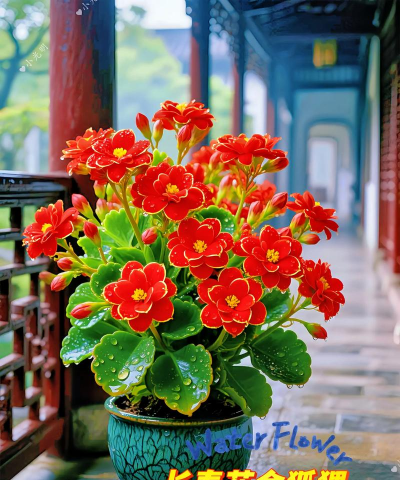 小众送妈妈的花有哪些花