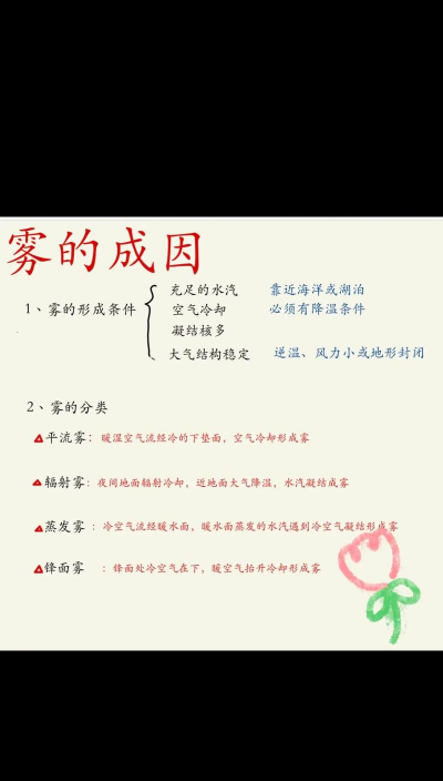 小众送妈妈的花有哪些花